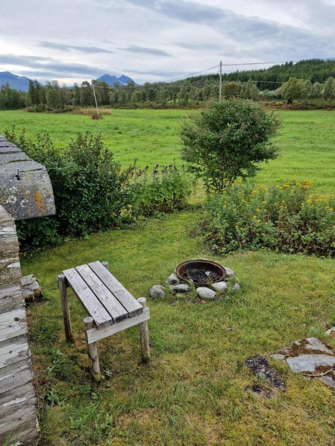 Warm And Cozy Cottage, Great Location Kvaloya Exterior foto