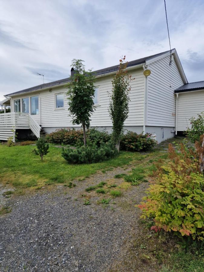 Warm And Cozy Cottage, Great Location Kvaloya Exterior foto
